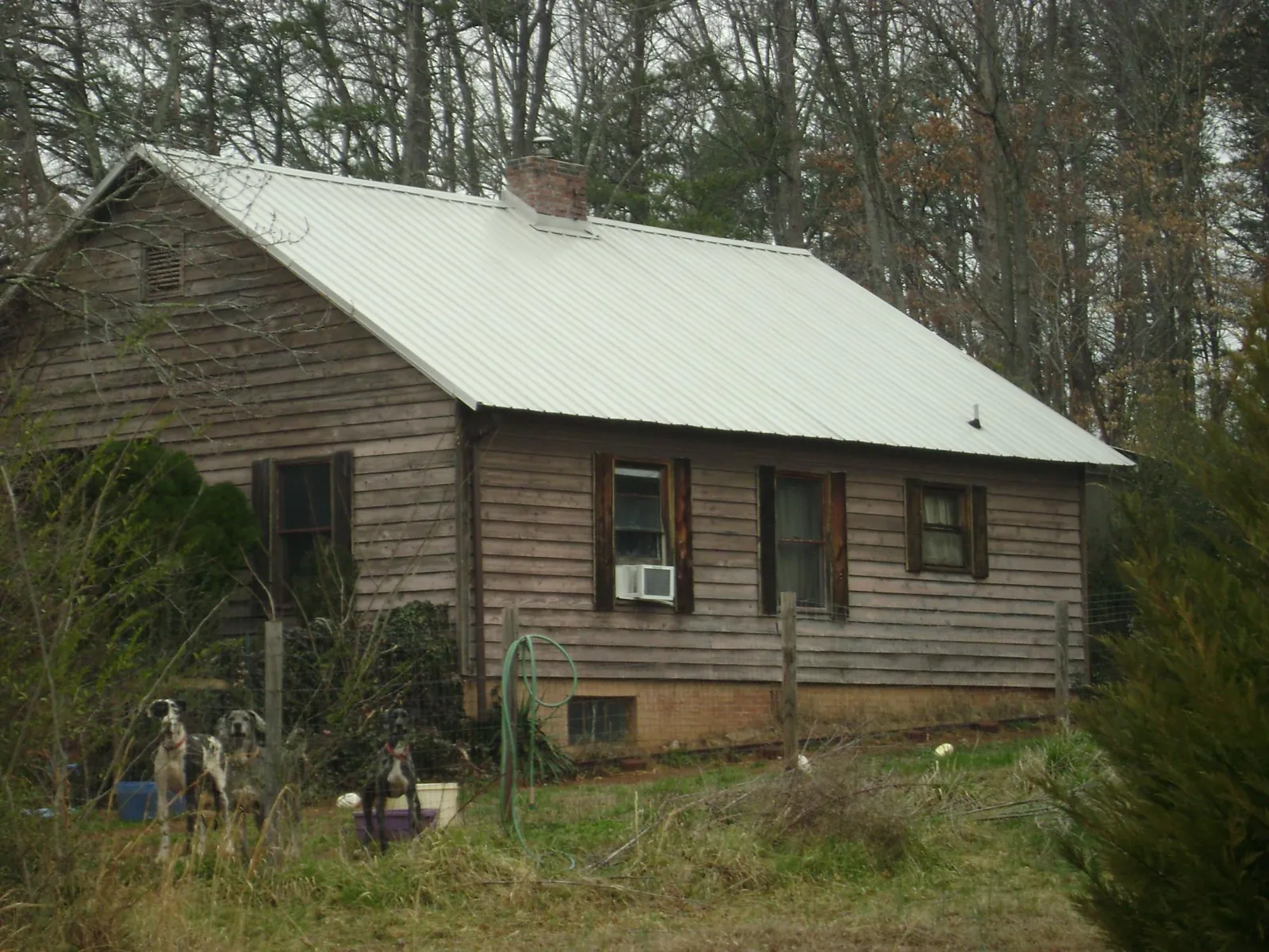 White metal roof on an old wood sided farmhouse, from a Asphalt Shingle Roof Repair job in Ferris